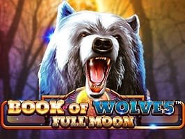 Book Of Wolves Full Moon game cover