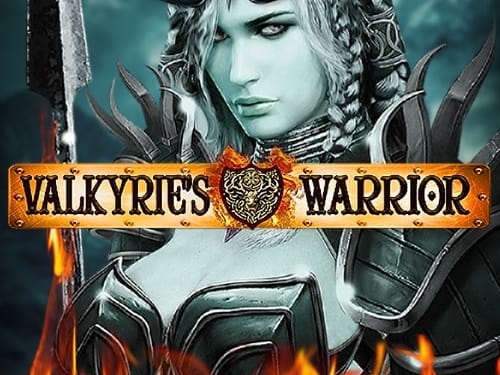 Valkyries Warrior game cover